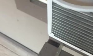 Brats Got A Little Crispy