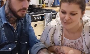 Card Trick Seals Your Card In Unopened Deck And Cupcake Mix