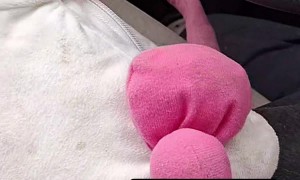 Sneaky Girl's Gat In The Cat