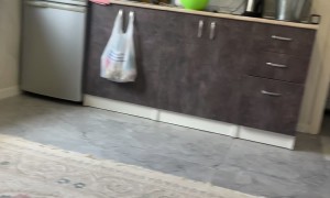 Tossed Diaper Effortlessly Lands In Trash