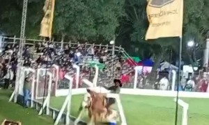 Wild Jineteada Horse Bucks Toward Freedom