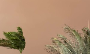 Sandstorm in Sao Paulo