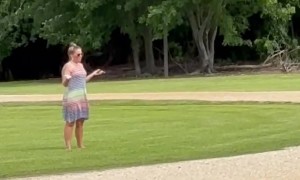 Rescued Birds Won't Fly Away