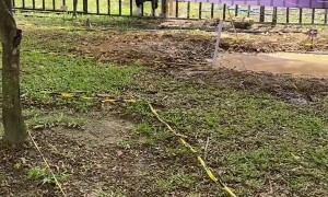 RC Truck Obstacle Course