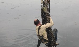 Oilfield Duck Rescue
