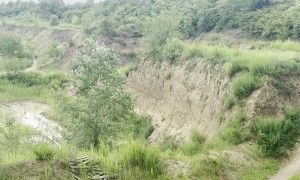 Off-Road Buggy Roars Uphill