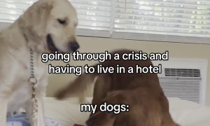 It Your Crisis, Not Theirs