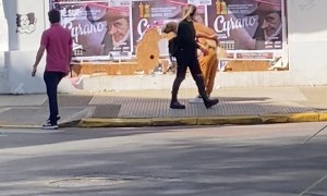 Golden Retriever Getting a Piggyback Ride Through the City