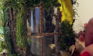 Naturalistic Crafted House