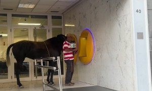 Man Brings His Horse to the ATM