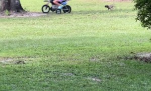 Distracted Daughter Drives Dirt Bike Into Tree