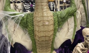 Dazzle Says, Witch Betta Have My Treat!