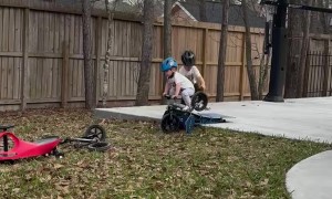 Don't Worry, Bro! I've Got You!