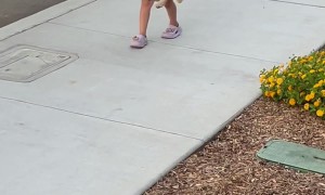 Daughter Adorably Determined To Keep Found Dog