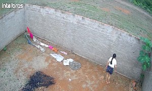 Broken Clothesline Sends Freshly Washed Laundry to the Ground