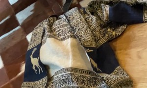 Seller Throws Merch Through Cruise Ship Window