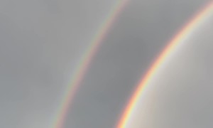 Rainbow After a Summer Storm