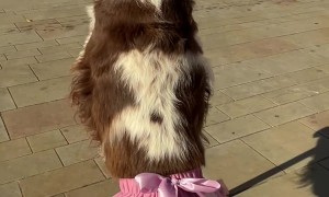 Bonnie Glides Through Town on Her Scooter