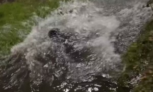 Front Flip Into a Puddle