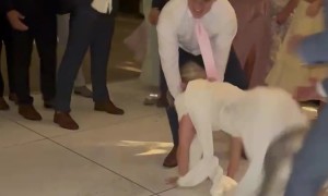 Wedding Dance Fall to Worm