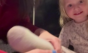 Toddler Is Very Good at Putting on Socks