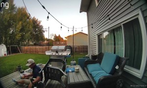 Spaniel Blocks Chair Sitting