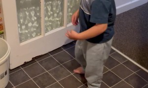 Kid Unexpectedly Catches Ball