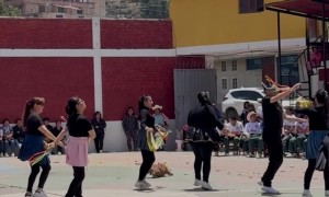 Dog Joins In On Colorful Dance