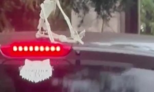 Car Skeleton Flaps Hands In The Breeze