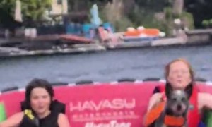 Adventure Puppy Taken Boat Tubing