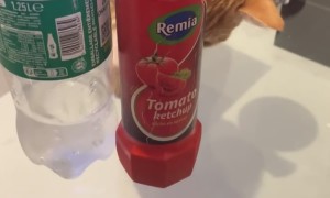 Camouflaged Cat Reaches for Plate