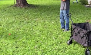 Grandpa's Fishing Pole Baseball