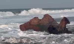 Whimsical Woman Gets Tossed by the Sea