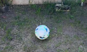 New Ball Didn't Last
