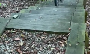 Cyclist Tumbles Over Log Barrier