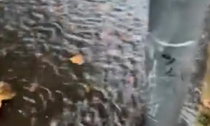 Flooded Road Causes “River Rapids” Down Set of Stairs