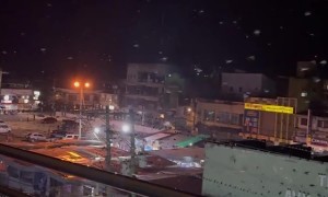 Massive Flock of Birds Take Flight After Earthquake