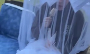 Diva Protected From The Outdoors