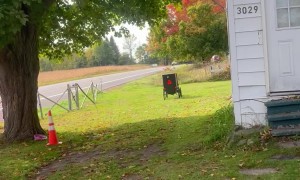 Mini Motorized Buggy