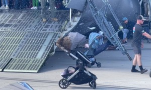 Bees Swarm a Baby Stroller
