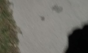 Shadow looks like Darth Vader