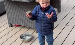 What's in Your Hand?