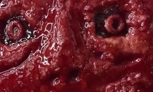 Creepy Halloween Tart