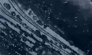 Humpback Whale Watching in the Colombian Pacific