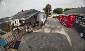 Skunk Tries to Spray Dog