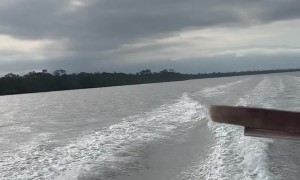 Barbecue on a Boat Gone Wrong