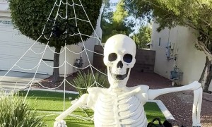 The Spookiest House on the Block