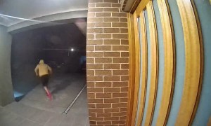 Door-Knocking Dingus Falls Down