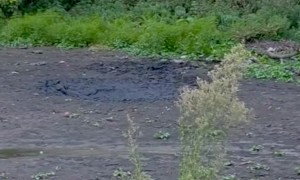 Guy on Drugs in Mud Pit