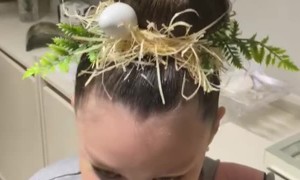 Crazy Hair Includes Egg And Chicks